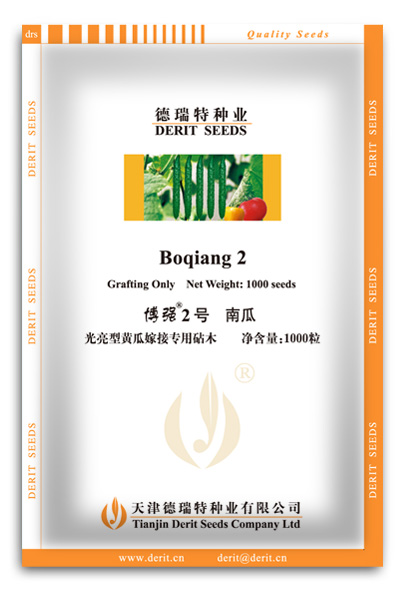 光亮型黃瓜砧木--博強(qiáng)2號