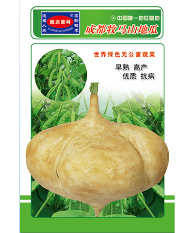 牧馬山地瓜