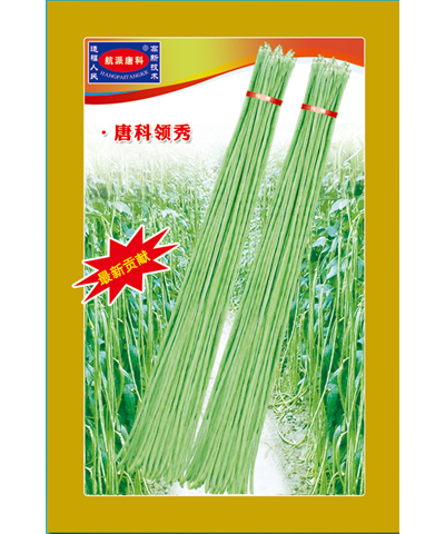 唐科領(lǐng)袖