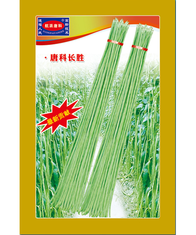 唐科長勝