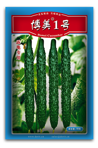 露地黃瓜種子--博美1號(hào)