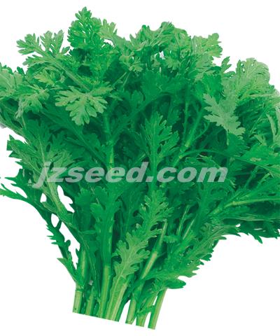 清香花葉茼蒿