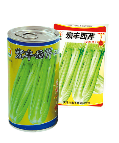 宏豐西芹