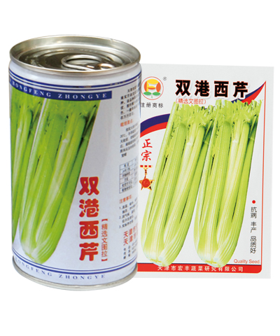 雙港西芹