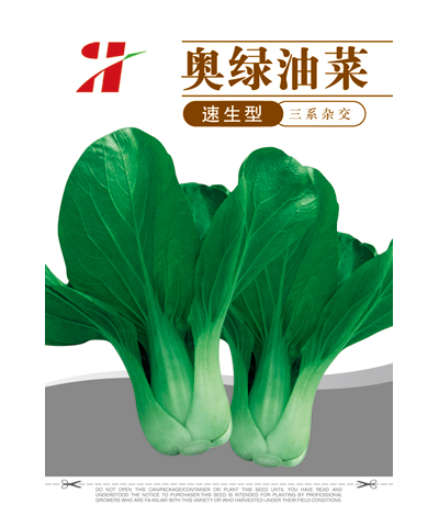 奧綠油菜
