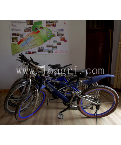 綠蒎農(nóng)業(yè)科技示范園產(chǎn)品展示