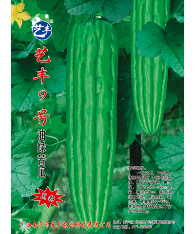 藝豐9號(hào)