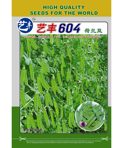 藝豐604荷蘭豆