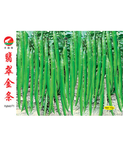 翡翠金條