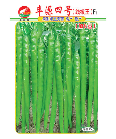 豐源四號