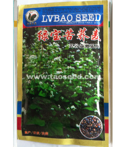 綠寶苦蕎麥