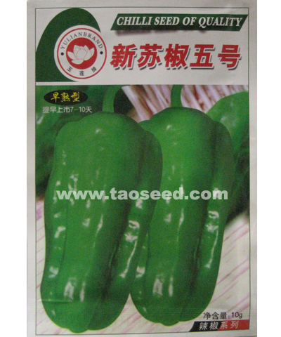 新蘇椒五號辣椒