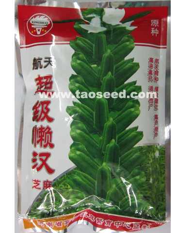航天超級懶漢芝麻