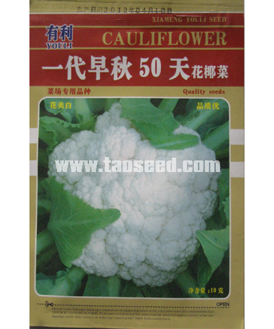 抗熱夏陽(yáng)白菜50天