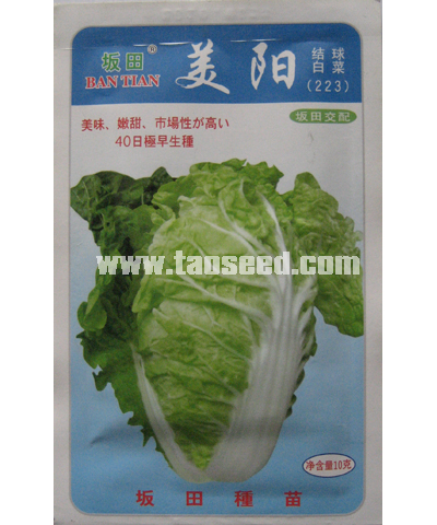 美陽(yáng)結(jié)球白菜