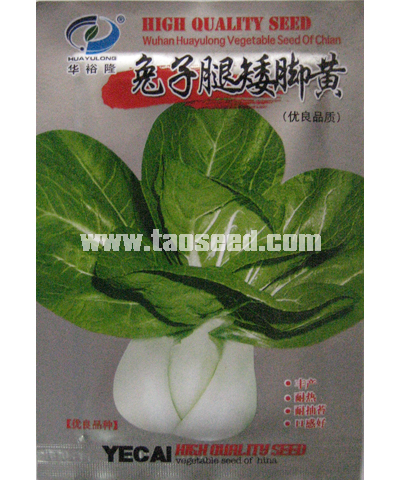 兔子腿矮腳黃小白菜