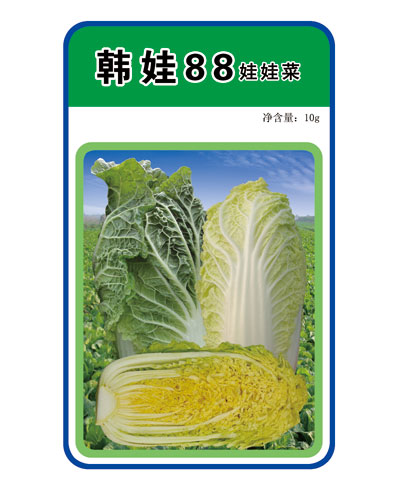 韓娃88娃娃菜