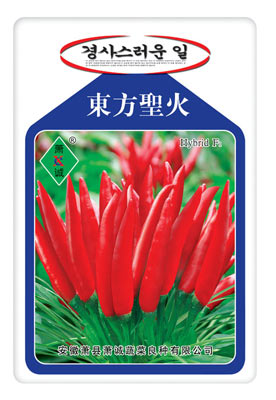 東方圣火
