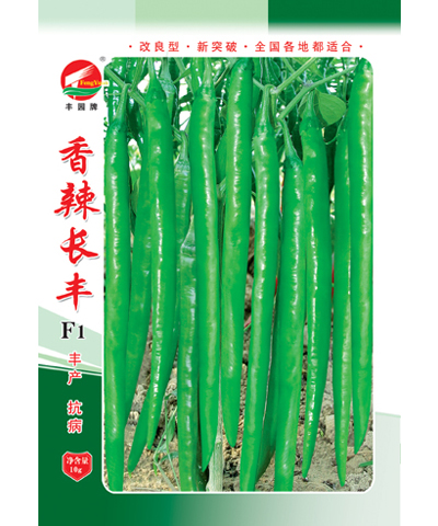 香辣長豐