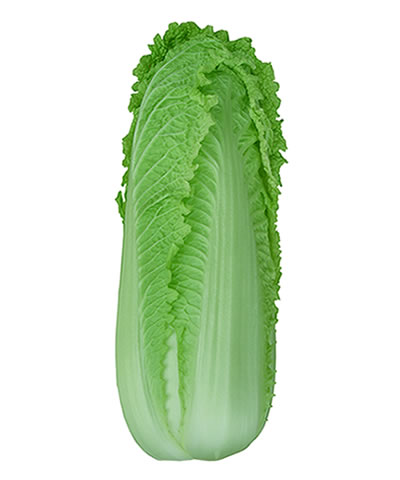 金秋三號