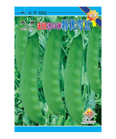 法國進(jìn)口種特優(yōu)彎豆