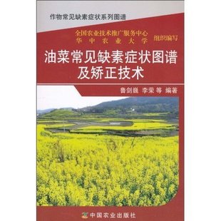油菜常見(jiàn)缺素癥狀圖譜及矯正技術(shù)魯劍巍
