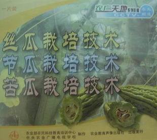 絲瓜栽培技術(shù)節(jié)瓜栽培技術(shù)苦瓜栽培技術(shù)（一片裝）