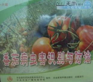 番茄病蟲害識別與防治 VCD 1片