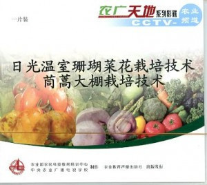 日光溫室珊瑚菜花栽培技術(shù) 茼蒿大棚栽培技術(shù)（一片裝）