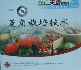 菱角栽培技術(shù)（一片裝）