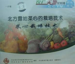 北方露地菜心的栽培技術(shù) 菜心栽培技術(shù)（一片裝）