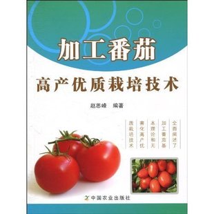 加工番茄高產(chǎn)優(yōu)質(zhì)栽培技術(shù)