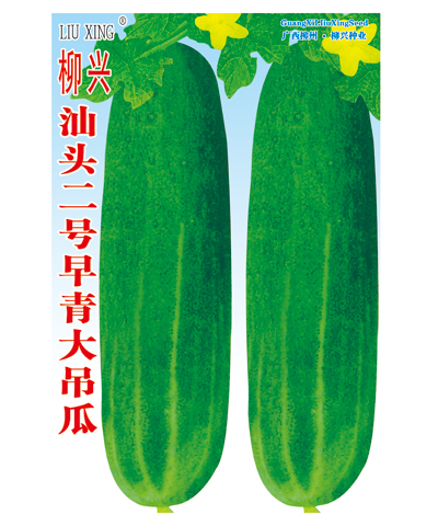 汕頭二號(hào)早青大吊瓜