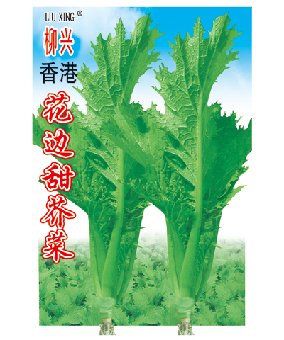 香港花邊甜芥菜