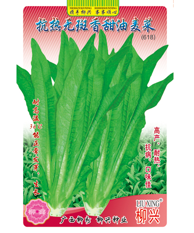 抗熱無斑香甜油麥菜