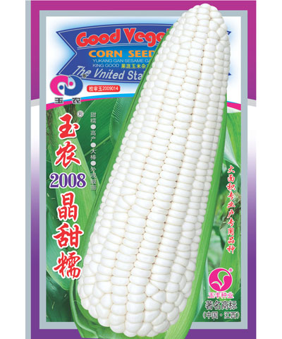 玉農(nóng)2008晶甜糯