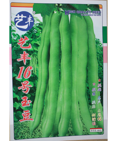 藝豐16號(hào)玉豆