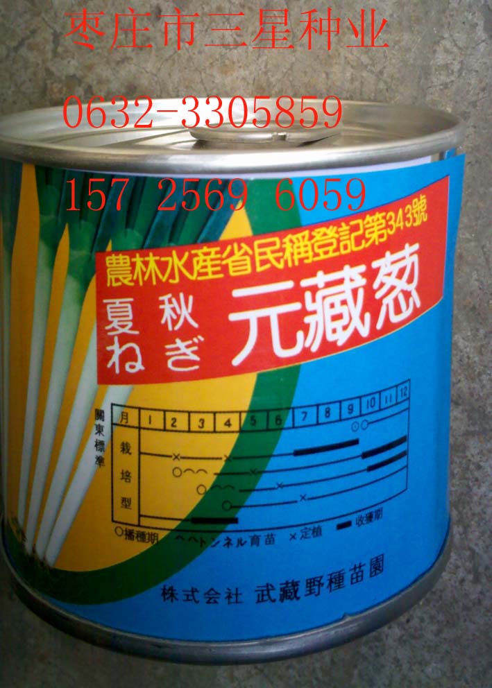 元藏鋼蔥