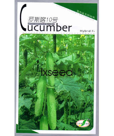 羅斯喀10號(hào)