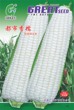 都市香玉糯