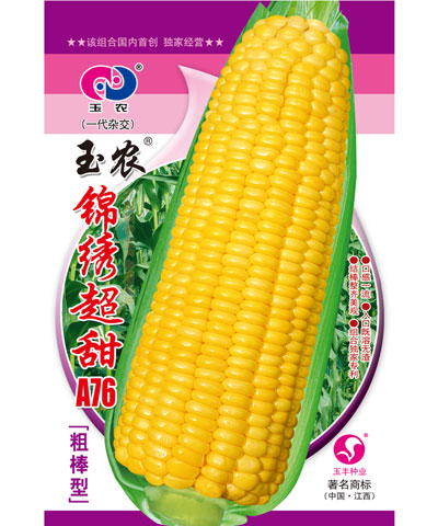 玉農(nóng)錦繡超甜A76