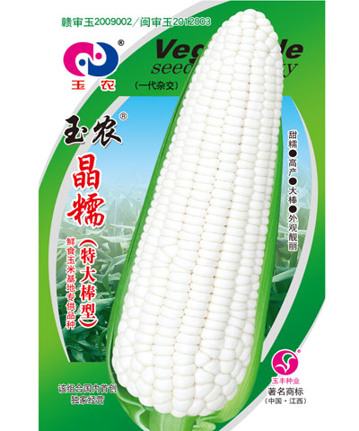 玉農(nóng)晶糯鮮食玉米基地專供