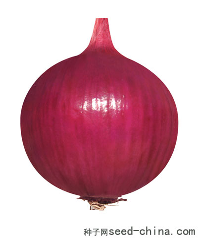 宏森一號(hào)