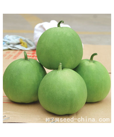 臺(tái)灣青玉
