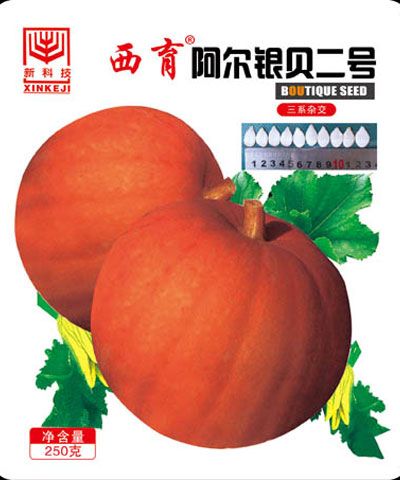 西育阿爾銀貝二號(hào)籽用南瓜