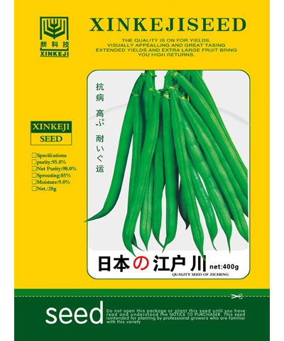 日本江戶川
