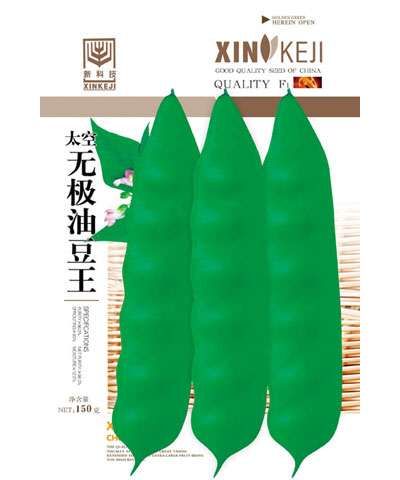 無極油豆王