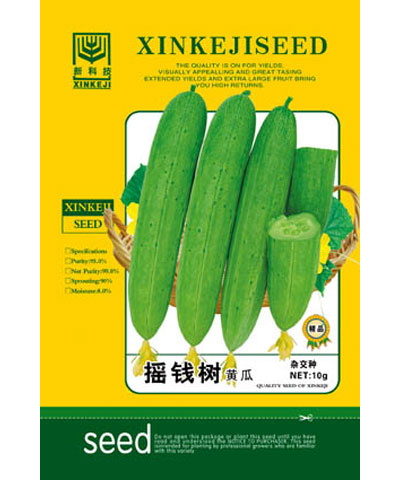搖錢樹黃瓜