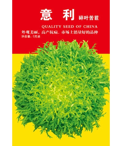 意利碎葉苦苣