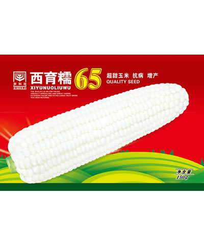 西育糯65號(hào)